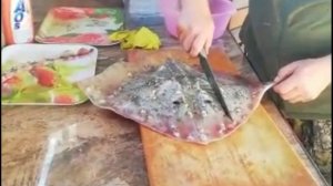 Морская Лиса на спининг с лодки в Черном море. Очень вкусно