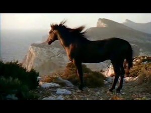 Казачья песня "Конь" ("На рассвете...") Дмитрия Шведа и Ларисы Черниковой