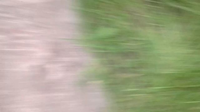 Побег из курятника и рационализация пространства в парнике. [Дача] (25.06.2017) смотреть онлайн