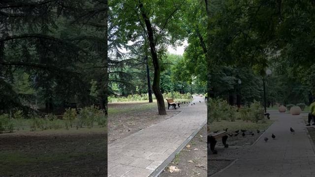 В парках Симферополе через громкоговоритель предупреждают жителей о сильных ливнях