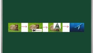 Цепочка эволюции капибар