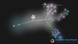 CHASS Source Code Visualization