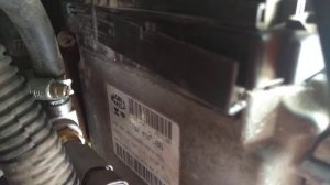 Фиат браво 1.6 чёрный дым из выхлопной.