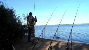 РЫБАЛКА на НОВОВОРОНЕЖСКОЙ АЭС. ЛОВИМ САЗАНЧИКОВ на ЖИВЦА.