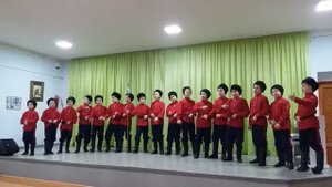 "Приуныли казаки"