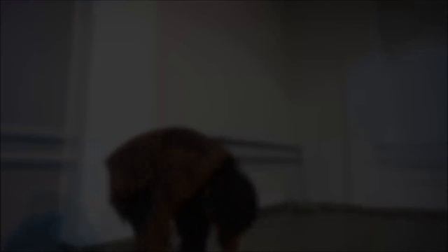 KAISE HUA | Kabir Singh | Contemporary Dance | Manav Handa Choreography ft. Payal Rawat смотреть онлайн