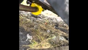 Замена сальников стойки стабилизатора