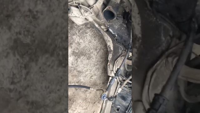 Боль Laguna вода) Renault 1,9 dci смотреть онлайн