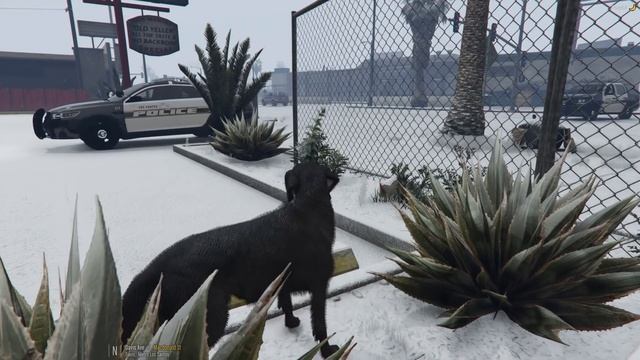 GTA 5 Roleplay | #182 - (CIV) Don't Git Bit смотреть онлайн