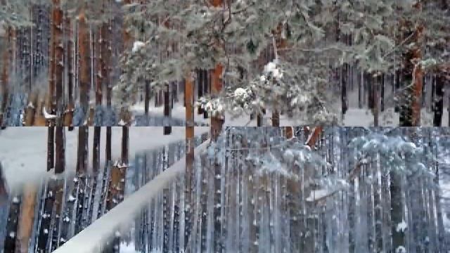 Ижевск-2011: Волшебная сказка зимнего леса