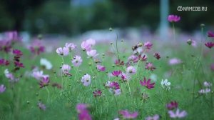 Значение имени Аврора: карма, характер и судьба