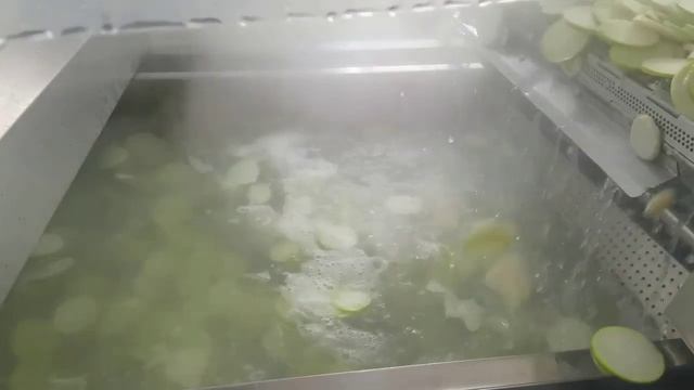 Линия для производства овощных чипсов (Низкотемпературная вакуумная обжарка/сушка) Китай смотреть онлайн