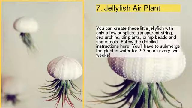 TOP 10 Things You Can Turn Into Mini Planters смотреть онлайн