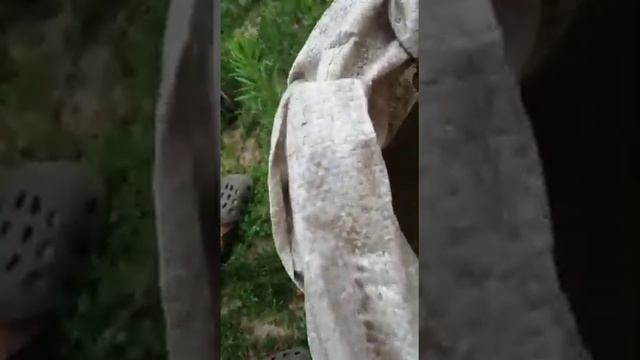 измельчитель навоза