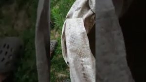 измельчитель навоза