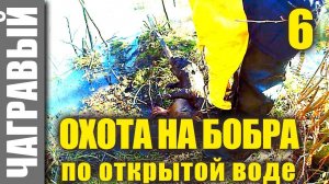 Охота на бобра по открытой воде 2 | Beaver hunting in open water 2