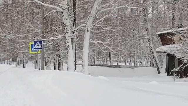 Продвижения по сарафану??Удивительная природа