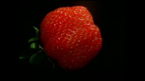 Карточки Домана ДЕНЬ 2