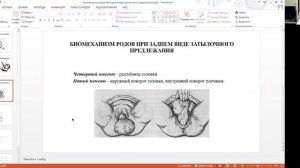 Биомеханизм родов в заднем виде затылочного предлежания