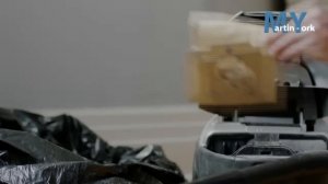 Как появляются клопы и действия при обнаружении Martin-York.ru