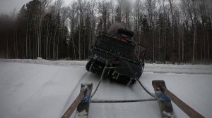 Охота 2020, строительство избы на болоте