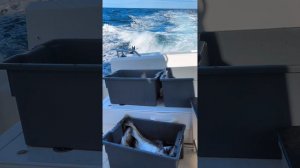 Рыбалка на Баренцевом море