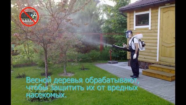 Труд весной. Презентация для детей. Окружающий мир. смотреть онлайн