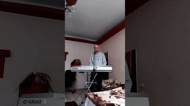 Osioł Stefan yamaha dgx305 смотреть онлайн