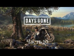 Days Gone / Жизнь после. Часть 10.