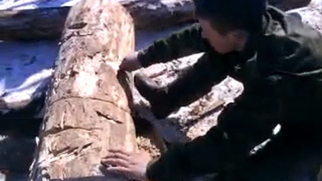 Супер пила,смотреть всем!!!