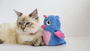 Огромное Яйцо с сюрпризом. Хетчималс 🐥 HATCHIMALS. ВИДЕО ДЛЯ ДЕТЕЙ 🐣 РАСПАКОВКА обзор Хетчималс