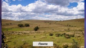 §39 "Разнообразие природы Южной Америки", География 7 класс ч.2, Домогацких