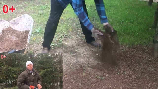 Мой метод или как я сею травосмесь в тени или в лесу смотреть онлайн