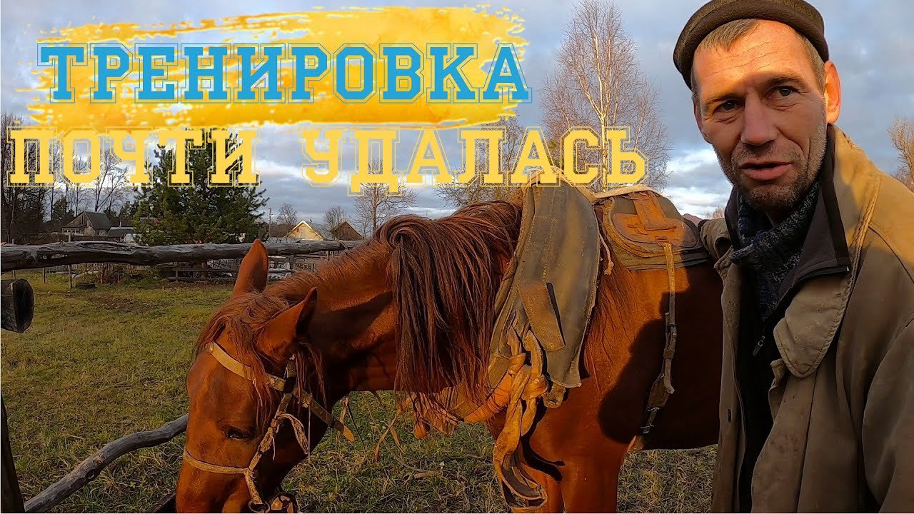 Тренировка коня Часть Вторая Запрягаем коня в самодельные ......