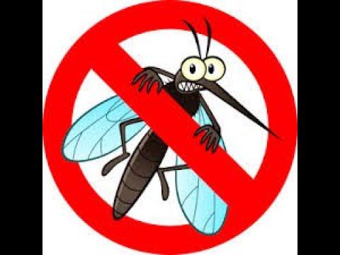 Бесплатное средство от комаров. смотреть онлайн