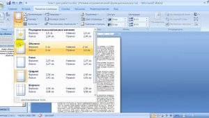 Word Работа с текстом Поля