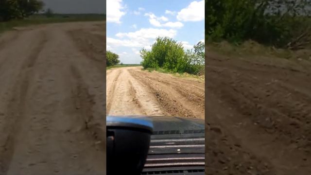 Дорога Н.Серогозы-с.Чеховка Херсонская область