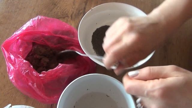 Стратификация семян. Делаем правильно.