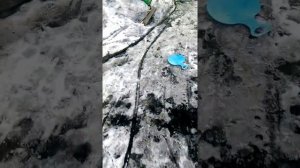 Мыски п Бородино