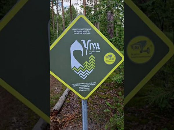 23 июля 2024 г.