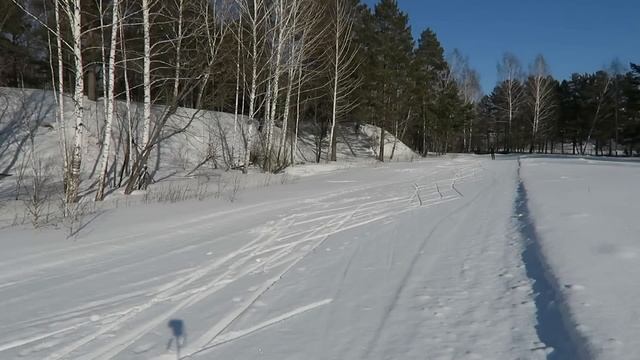 Беговые лыжи /Коньковый ход / skate ski / cross-country skiing