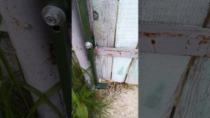 Задвижка-невидимка для калитки