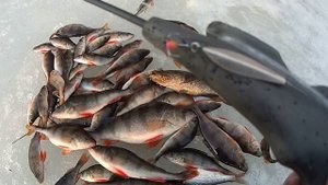 Последний лед в Подмосковье. Блеснение окуня.