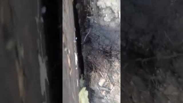 Лайфхак!!!!!!! курятник под землей  минимальным вложением