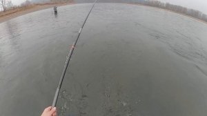 ОГРОМНЫЙ ХАРИУС ЛОМАЕТ УДОЧКУ, РЫБАЛКА НА ХАРИУСА на ТОМИ / ПОСЕЛОК ЗЕЛЕНОГОРСКИЙ, ЛОВИМ НА МУШКИ.