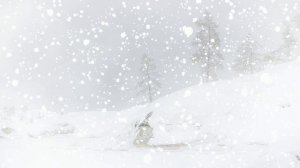 Футаж. Зимний пейзаж 117