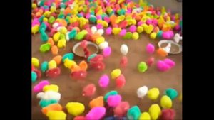 САМЫЕ удивительные живые крашеные цыплята! - Live chickens dyed