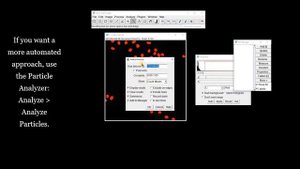 FIJI (ImageJ): Regions of Interest and the ROI Manager
