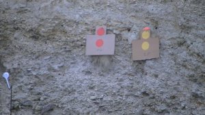 Сайга 9х19 стрельба с рук на 50 метров