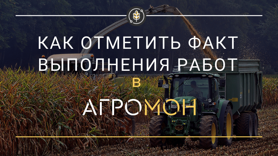 По факту выполнения. Агромон.